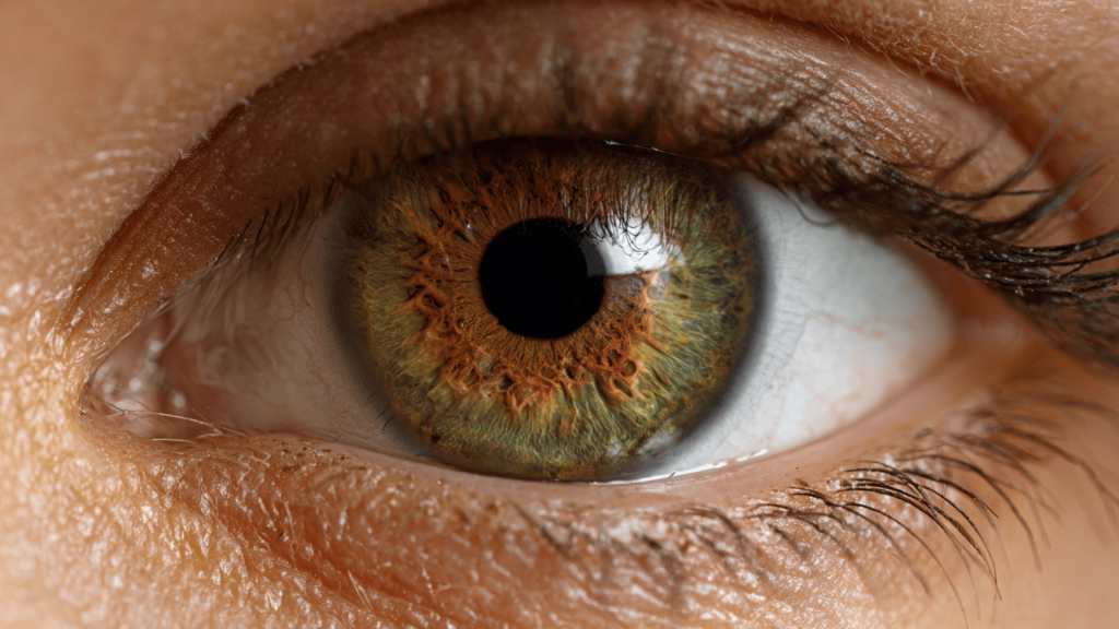 Photo of hazel eyes